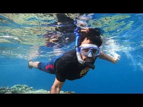 SNORKELING RED SEA RABIGH BEACH HASIF-LUKMAN