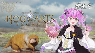 【ホグワーツ・レガシー】今日から復学します！