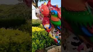 Download lagu Balon lucu ikan nemo, upin ipin dan burung kakak tua hijau mp3