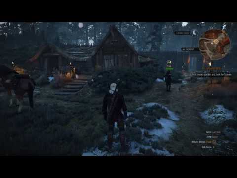 The Witcher 3 Wild Hunt Playthrrough Walkthrough Gameplay Part 26 LIVE