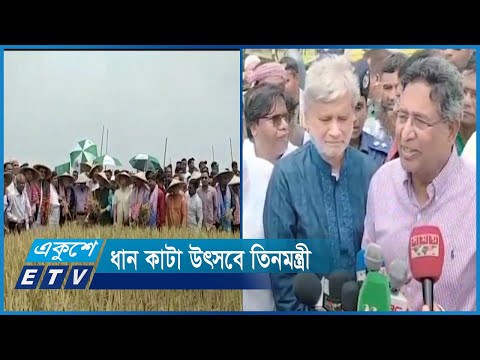 সুনামগঞ্জে ধান কাটা উৎসবে তিনমন্ত্রী | ETV News