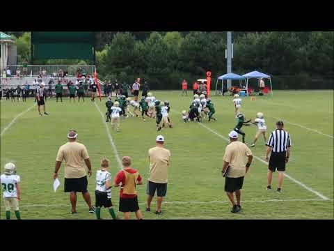 2018 NN Buford Wolves - 8U Team Highlights 7-3 - NN Division Champs