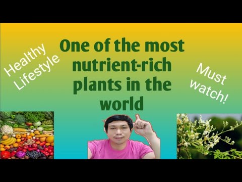 One of the most nutrient-rich plants in the world | must watch!!