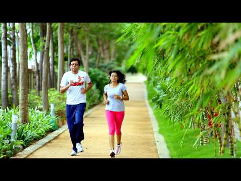 Walkthrough Walkthrough