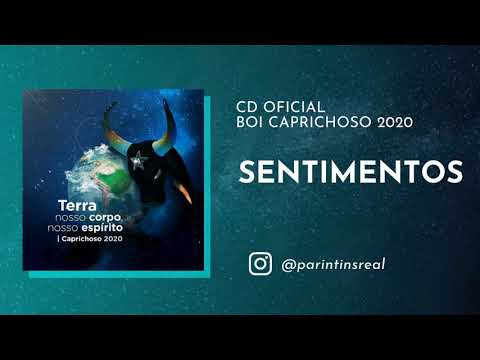 Sentimentos video