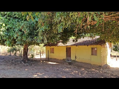 A mulher que deixou uma cidade grande pra morar neste pequeno povoado no interior#viralvideo#foryou