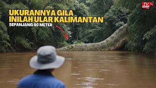 Download lagu INI NYATA‼️ Sosok Ular Terbesar di Dunia Tertangkap Kamera di Sungai Pedalaman Hutan Kalimantan... mp3