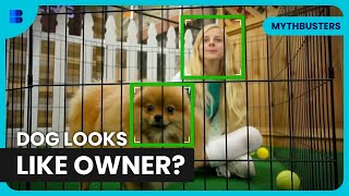 Exploding a Safe and Dogs That Look Like Their Owners
