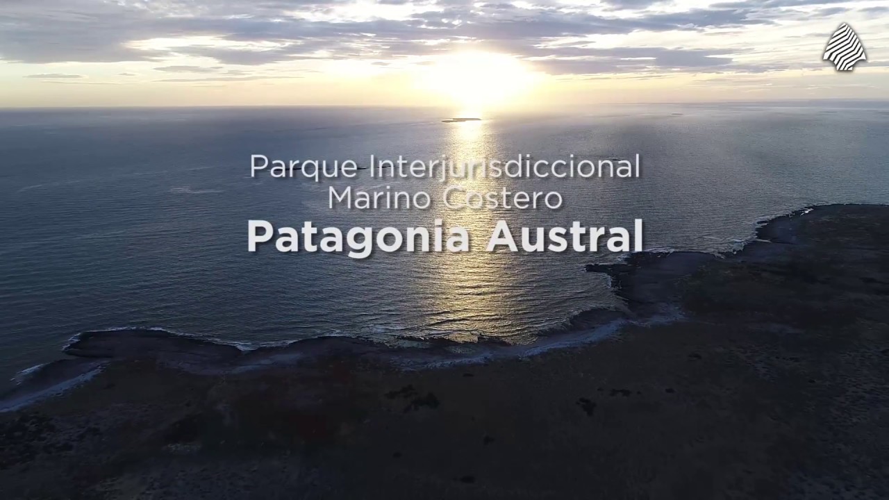 youtube video id=IxnE9ixpjuU