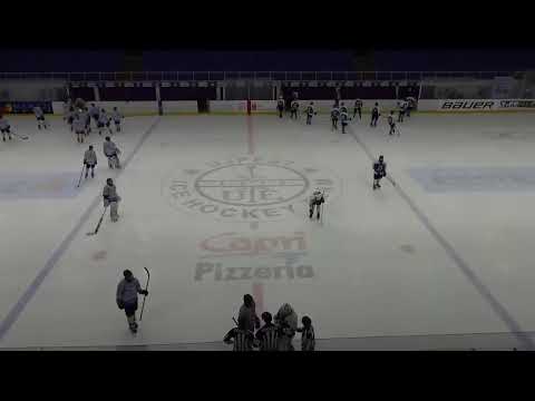 Sportországi Cápák Utánpótlás Jégkorong