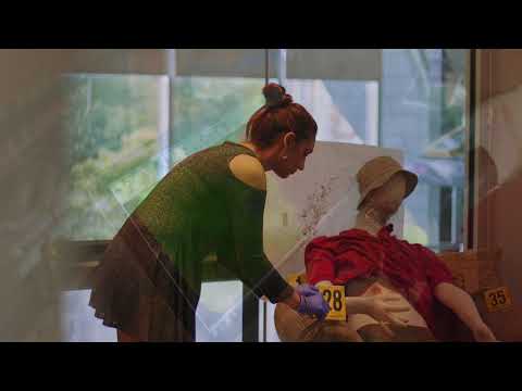 Graduate Programs in the Henry C. Lee College of Criminal Justice and Forensic Sciences