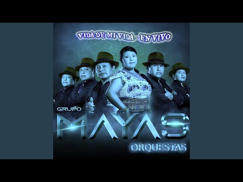 Vida de Mi Vida (En Vivo)