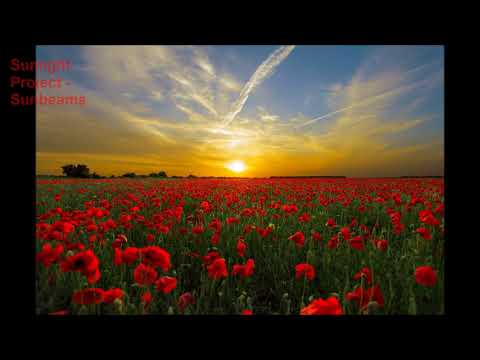 Sunlight Project - Sunbeams [Sunlight Tunes]