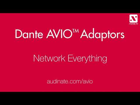 Dante AVIO Adapters - Network Everything
