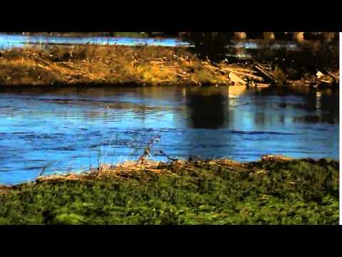 The River Calder looking towards Thornes & Wakefield