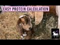 Livestock Feed Protein Calculator | Simple Method