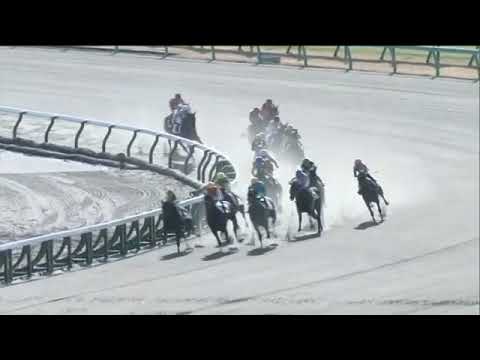 2021.12.26 2yo Newcomer (JPN) - Live Amethyst