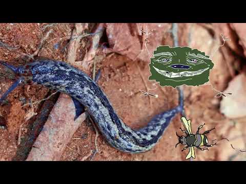 Lowertown - Tourist Trap