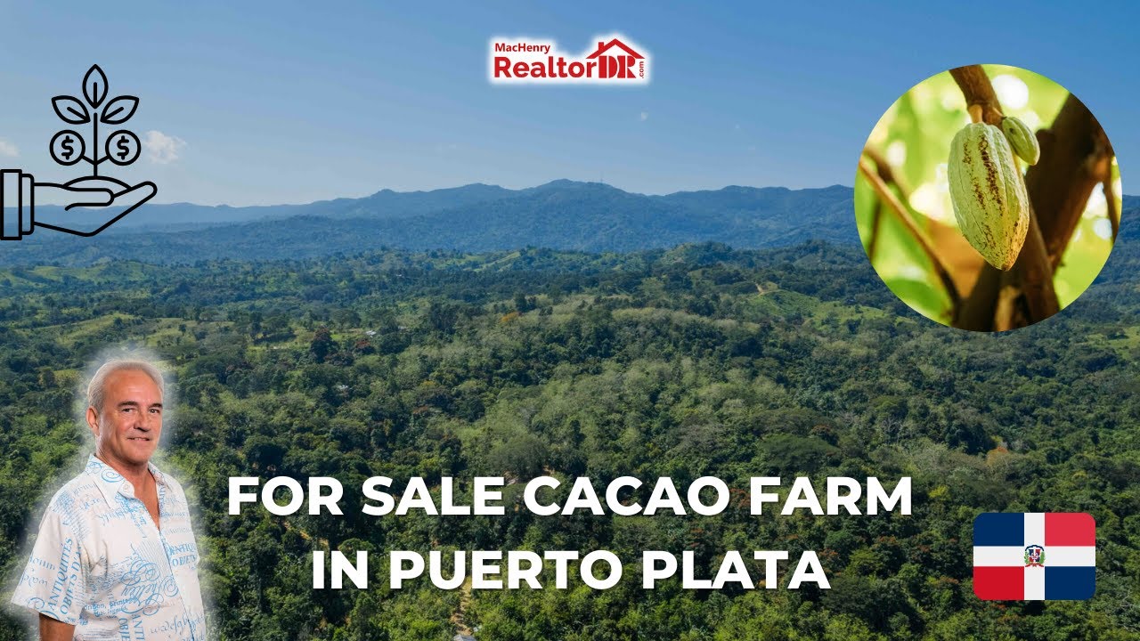 🍫 Organic Cacao Farm For Sale In Guananico, Dominican Republic