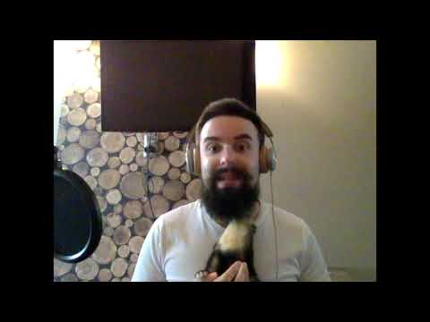 Mała prośba, atencyjna fretka Bogdan i #deskadoPRACOWANIA