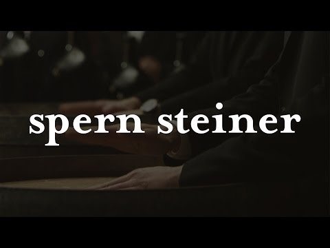 PLAYED A LIVE, SAFRI DUO - SPERN STEINER - SOUND OF TERROIR by WENINGER'S WINE ORCHESTRA