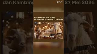Download lagu well yes 27 may 2026 kurban same exactly with the song 🗿🗿🗿 mp3