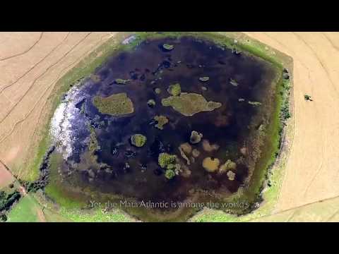 The Wildlife Corridors Program