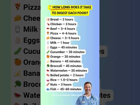 6 Hours to Digest Pizza?! Why Your Lunch Is Killing Your Productivity #SHORTS