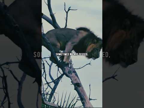 Strength is discovered only when life dares to test you. || Motivational #shorts #motivation