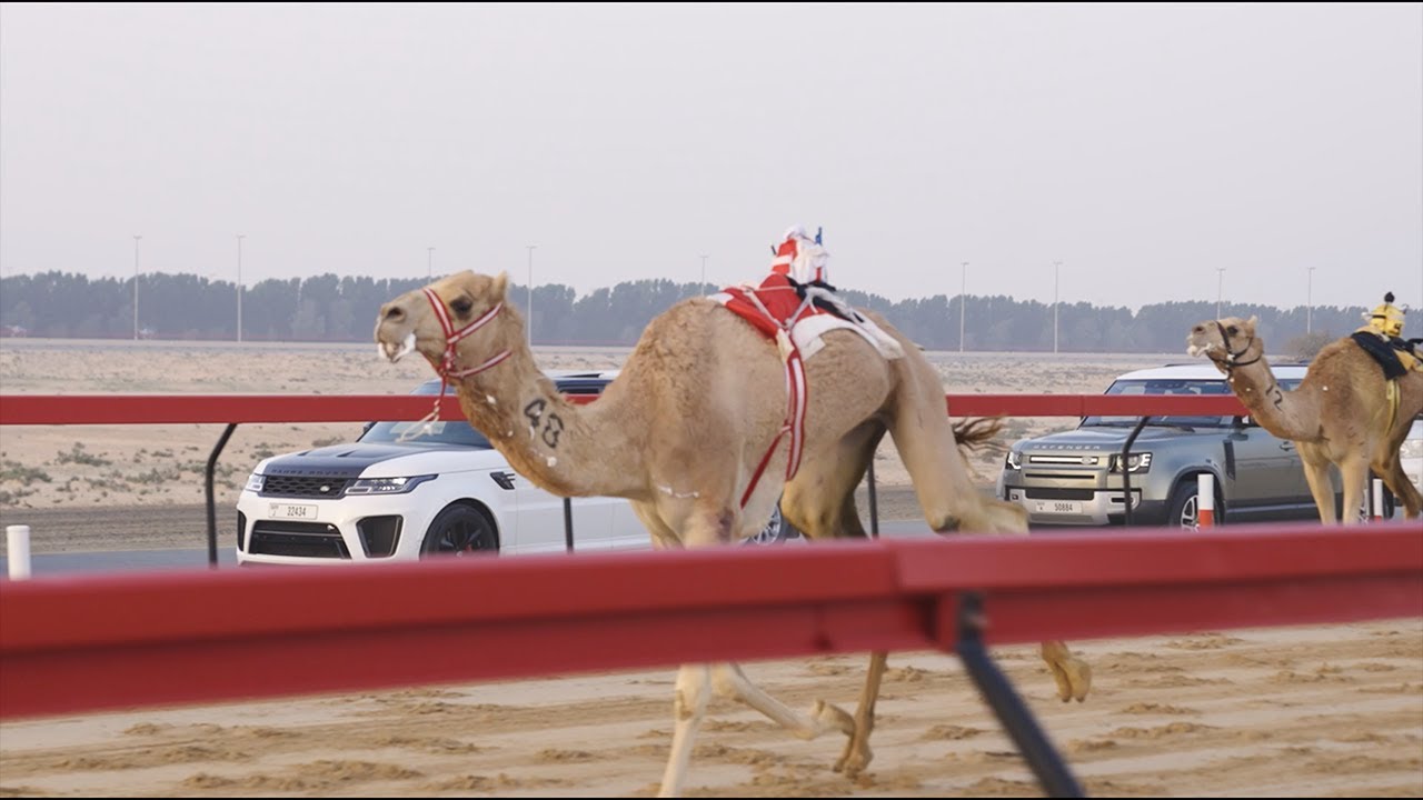 Al Marmoom Heritage Festival 2021 - 2022