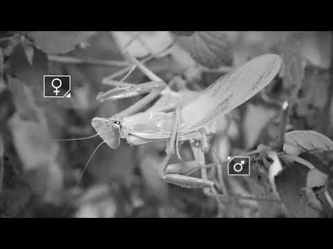 404 - INFAMI E STRONZI (IL RAP DEL DEEP WEB)