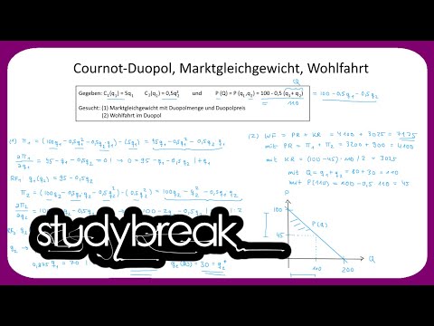 Cournot-Duopol, Marktgleichgewicht, Wohlfahrt | Preistheorie