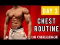 14 MIN CHEST WORKOUT using ONE DUMBBELL | 4 WEEK TRANSFORMATION CHALLENGE - DAY 3 (BUILDING MUSCLE)