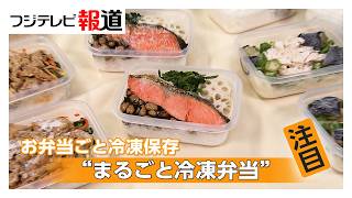 「毎日のお弁当が大変」まとめて楽ちん！“作り置き冷凍弁当” 包丁やフライパン不要のレシピも、正しい持ち運び方は？（2026年05月22日）