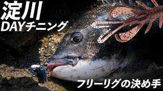 【チニング】淀川DAYチニング フリーリグの決め手 単日で4枚の実力 / 佐々木平磨