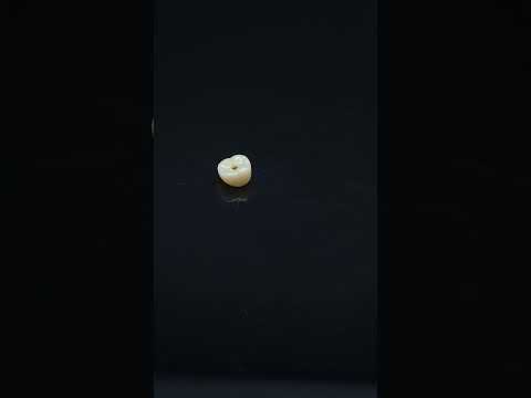 YouTube 썸네일