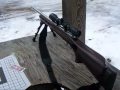 .17 HMR Savage 93r 