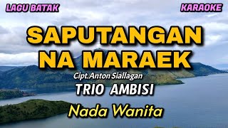 Download lagu Saputangan na maraek - Trio Ambisi | Karaoke lagu Batak | Nada Wanita mp3