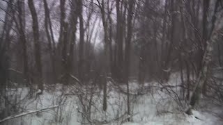 12 News Now: Snowstorm Update Sunday, 4:00pm