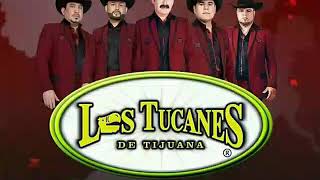 El muletas--Tucanes de Tijuana.