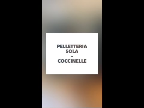 COLLEZIONE AI21 COCCINELLE - PELLETTERIA SOLA