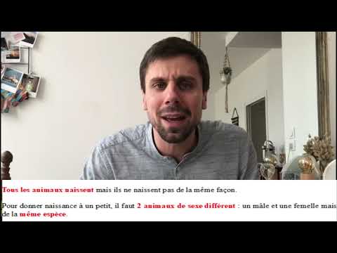 Sciences - Les êtres vivants - Ovipare et Vivipare