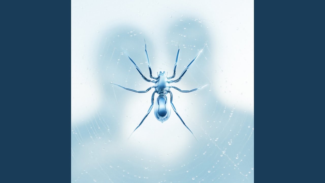 The Spider - YouTube