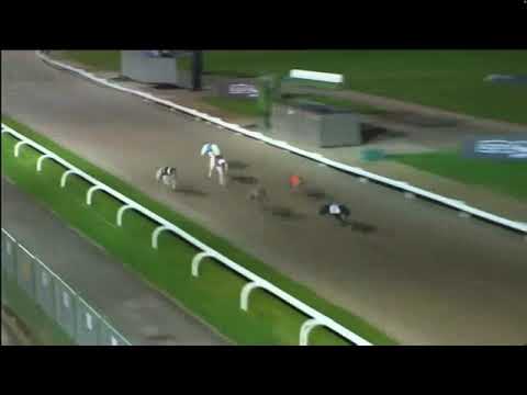 Natalie Savva Westmead Memorial Race