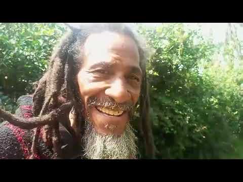 Jah Jah Look Wha A Gwaan - Teddy Dan - @R.A.S.