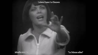 Mireille Mathieu  - La Paloma adieu