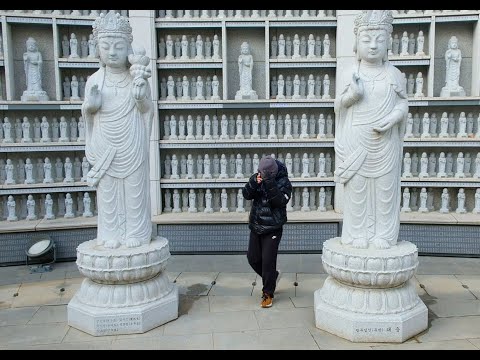 Koosha Azim - FLY TO THE SOUTH (Official Music Video)