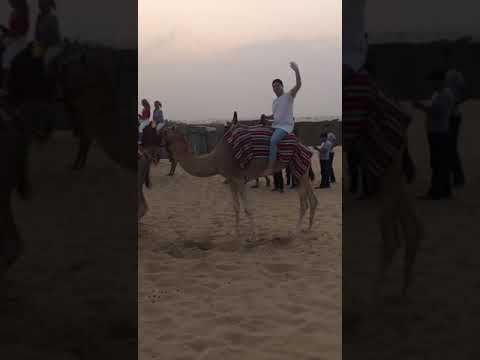 Camel ride 3