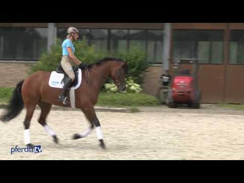 Mit Cavaletti die Versammlung im Galopp verbessern | Soma Bay | Ingrid Klimke