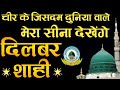 Cheer Ke Jisdam Duniya Wale Mera Sina Dekhenge Naat By Dilbar Shahi